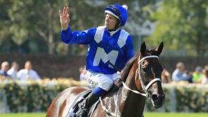 Cox Plate betting