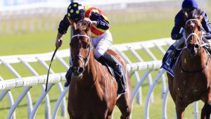 The Everest Betting
